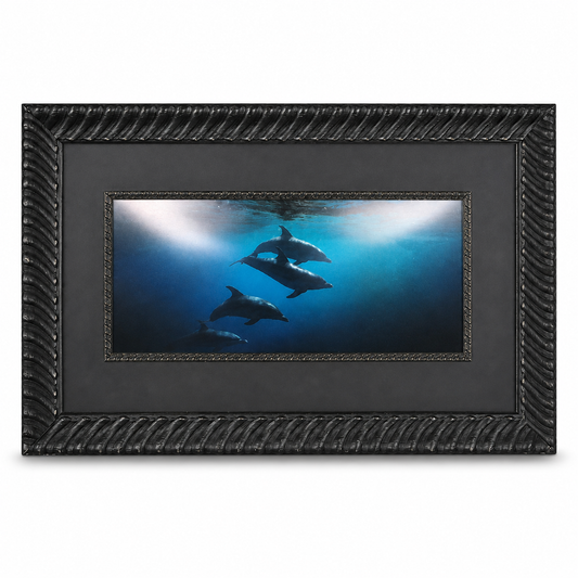 Shepard Photographs - Dolphins