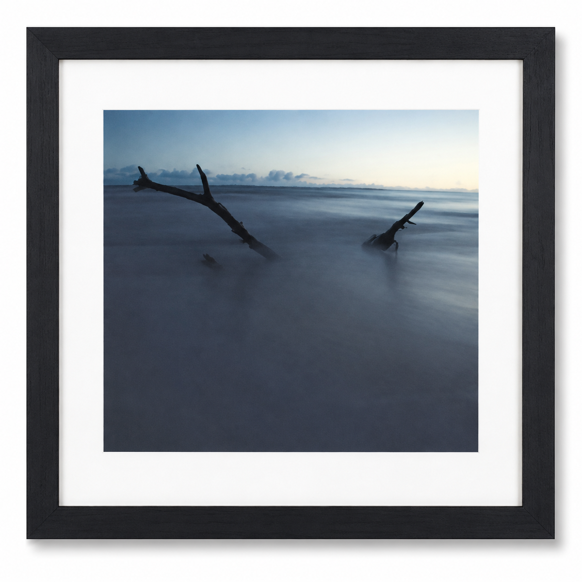 Shepard Photographs - Small Driftwood