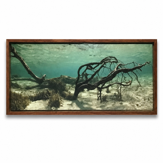 Shepard Photographs - Medium Driftwood